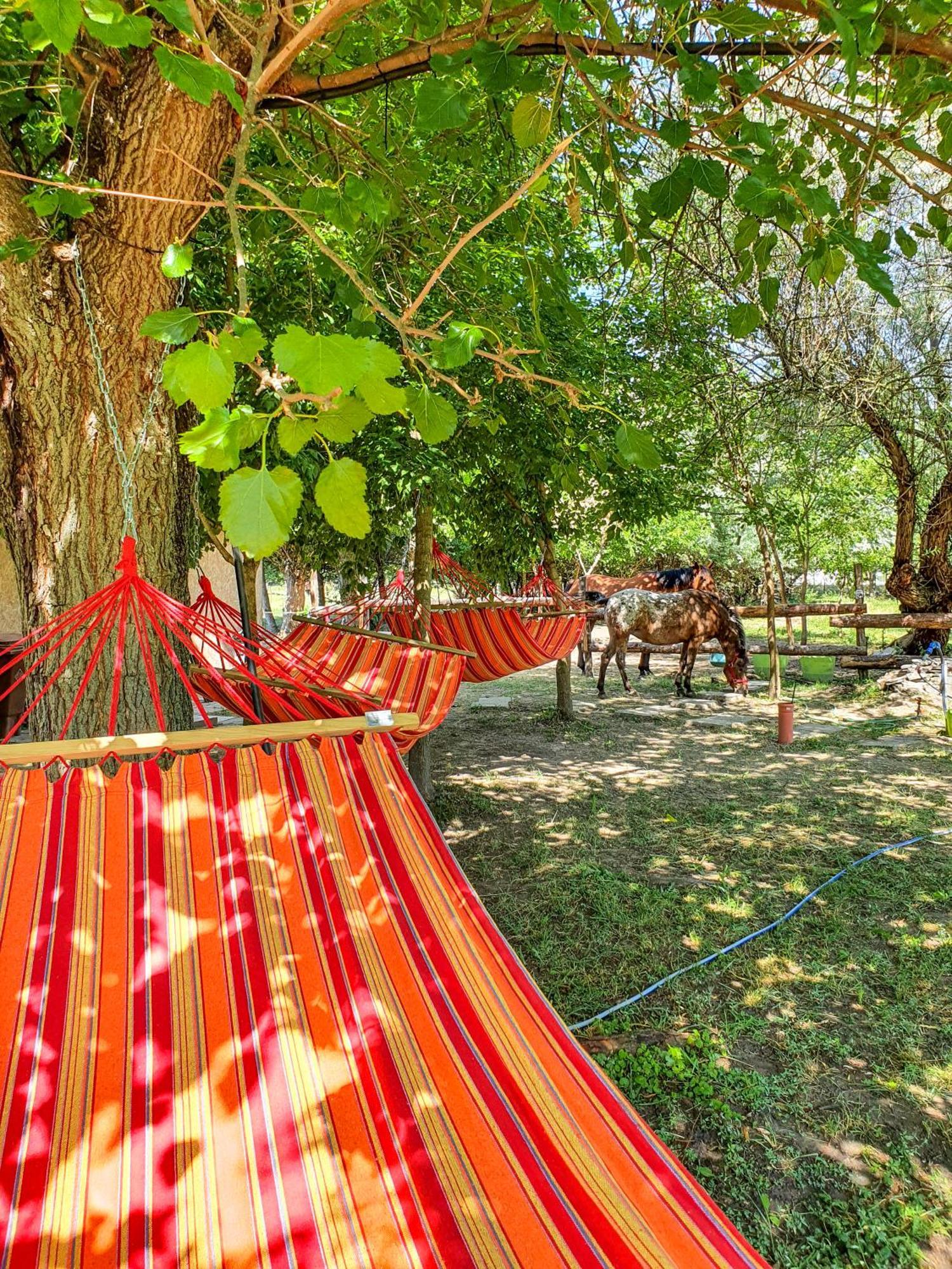 Mini-hôtel Forro Fogado & Bauer Bistro Roszke
