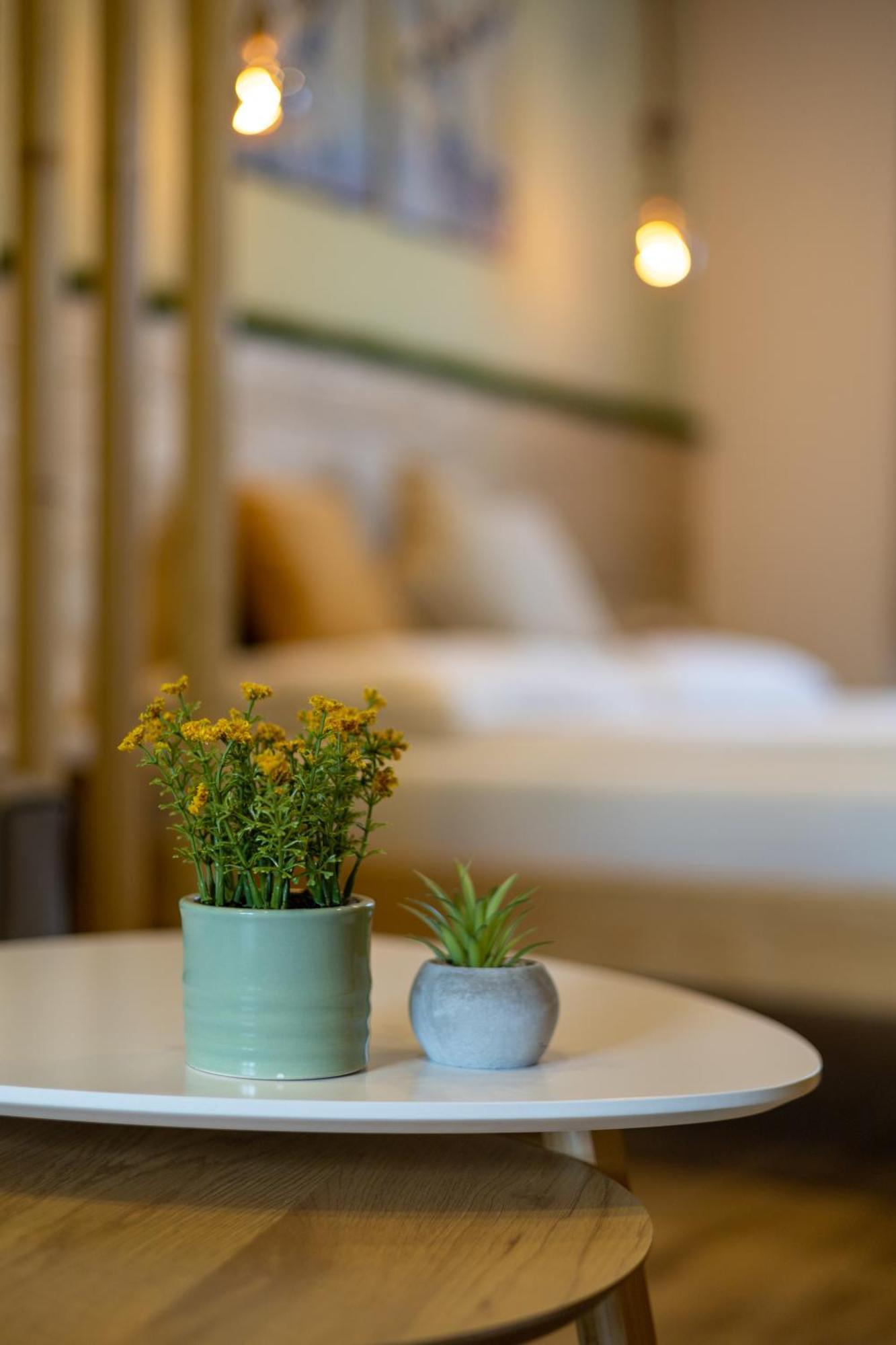 Forro Fogado & Bauer Bistro Mini-hôtel Roszke